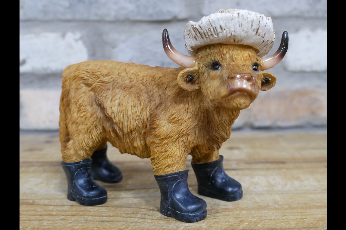 Highland Cow - Small