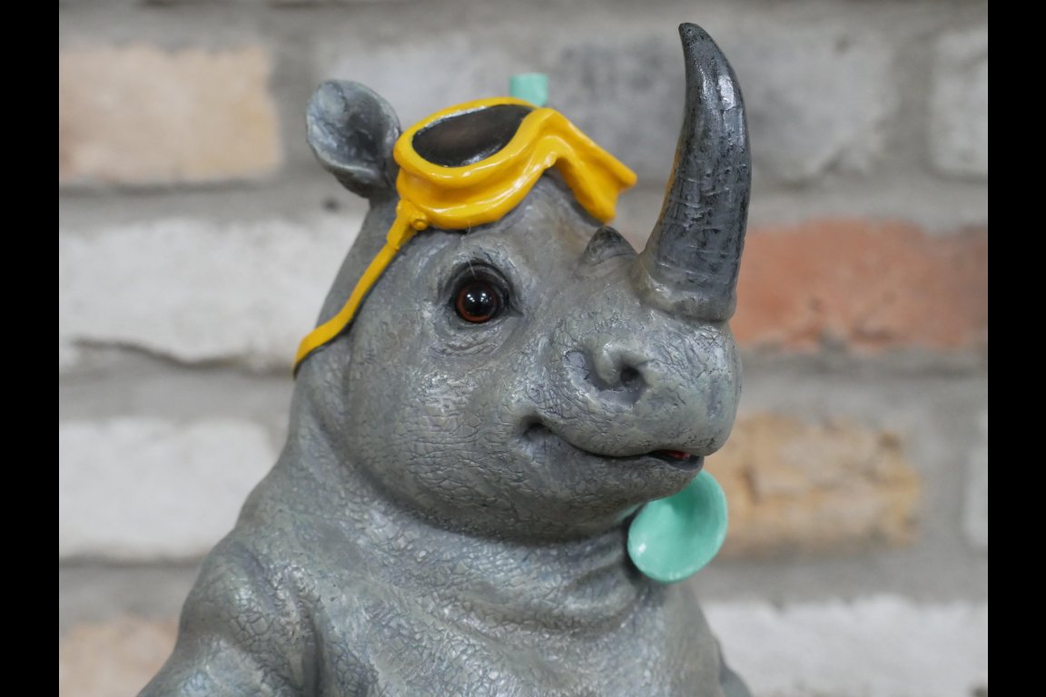 Rhino Snorkeling
