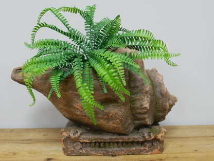 Shell Planter