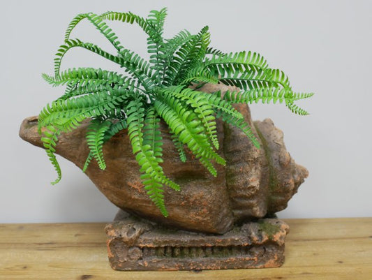 Shell Planter