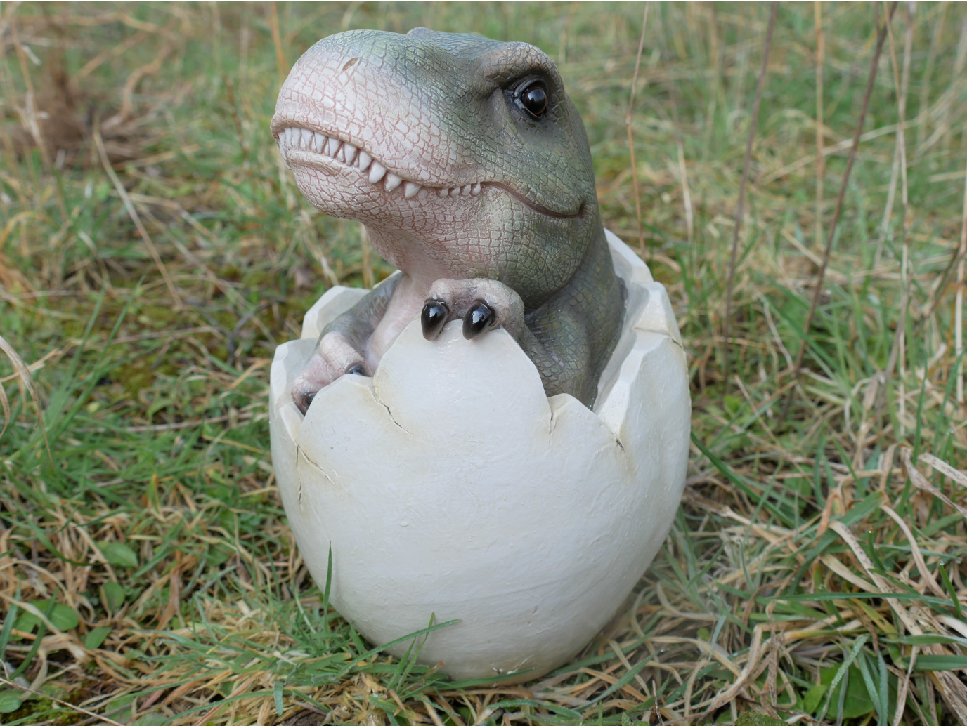 Dinosaur Egg