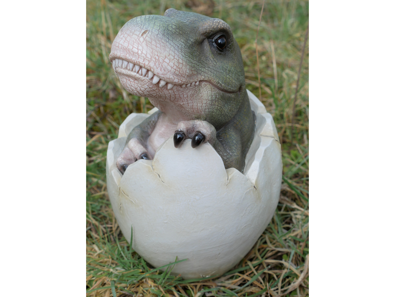 Dinosaur Egg