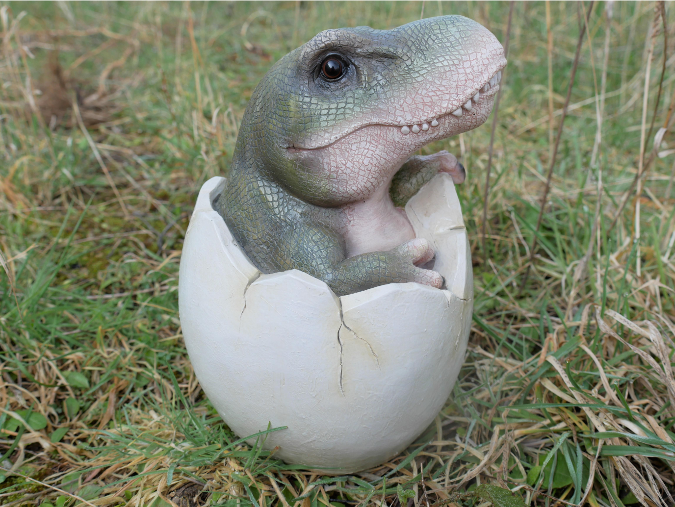 Dinosaur Egg