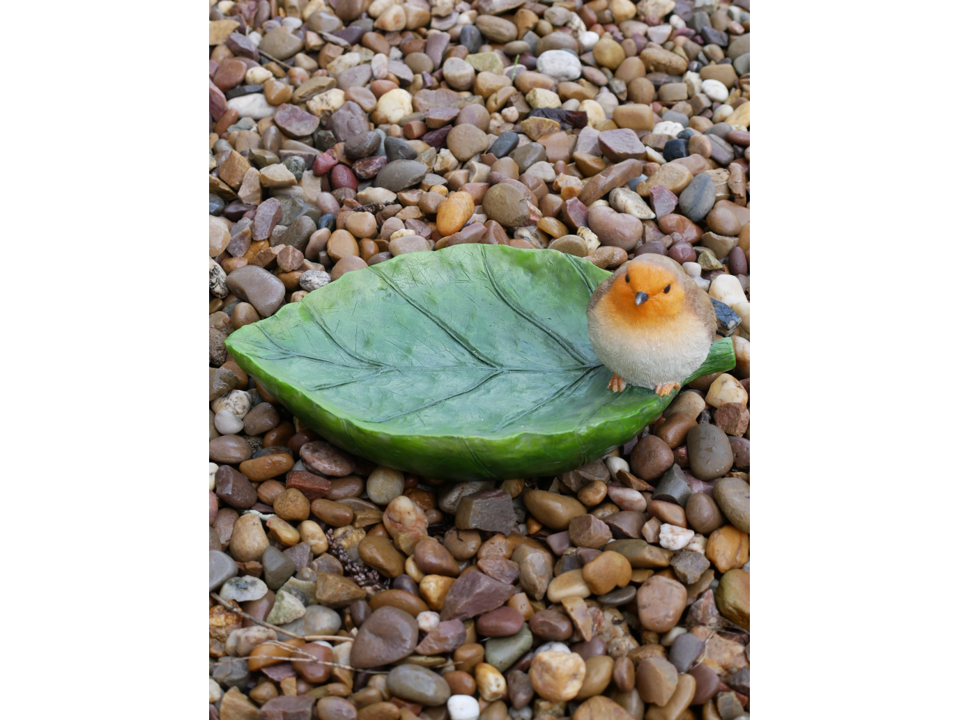 Robin Bird Feeder