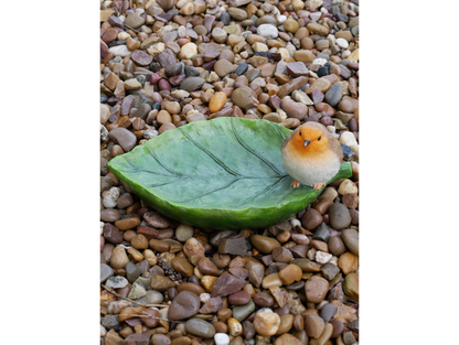 Robin Bird Feeder