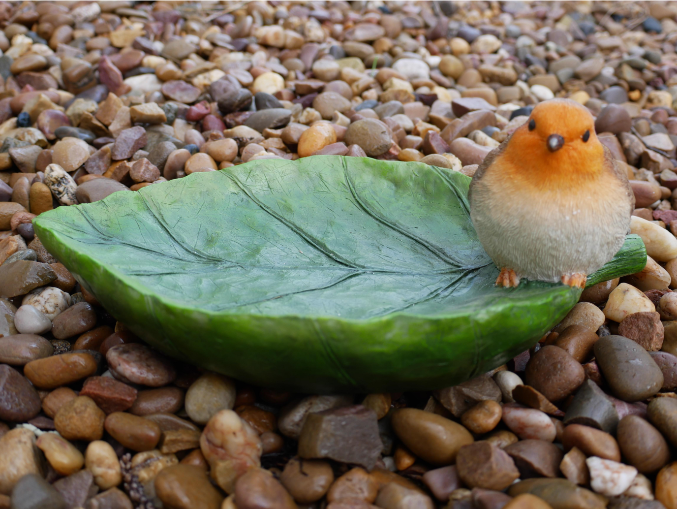 Robin Bird Feeder