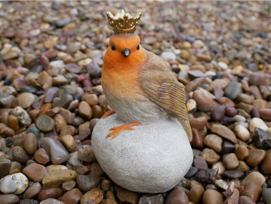 Robin On Stone