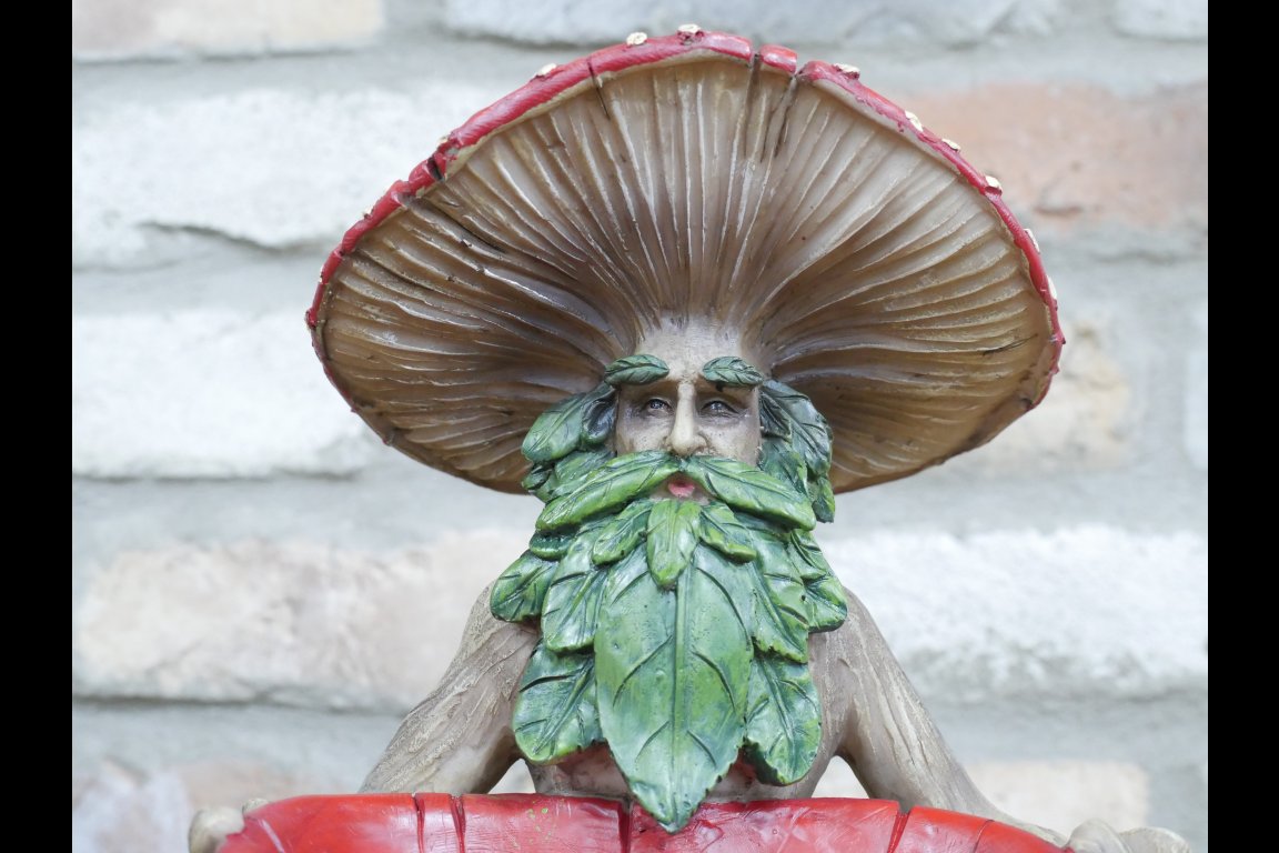 Mushroom Man