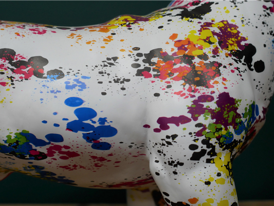 Multi Colour Dog