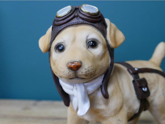 Pilot Dog