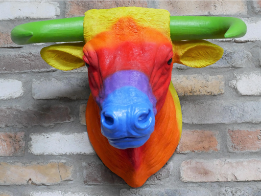 Rainbow Bull Head