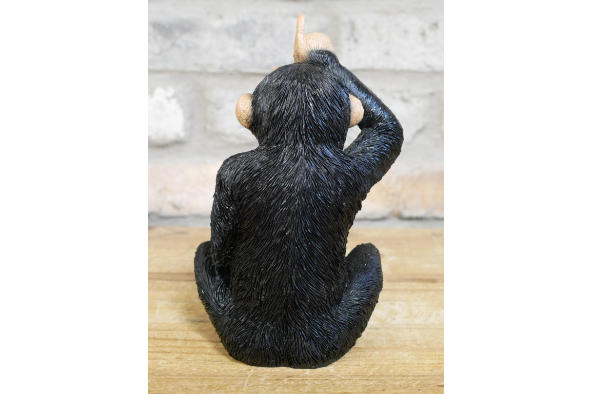 Little Loser Monkey