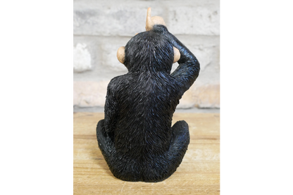 Little Loser Monkey