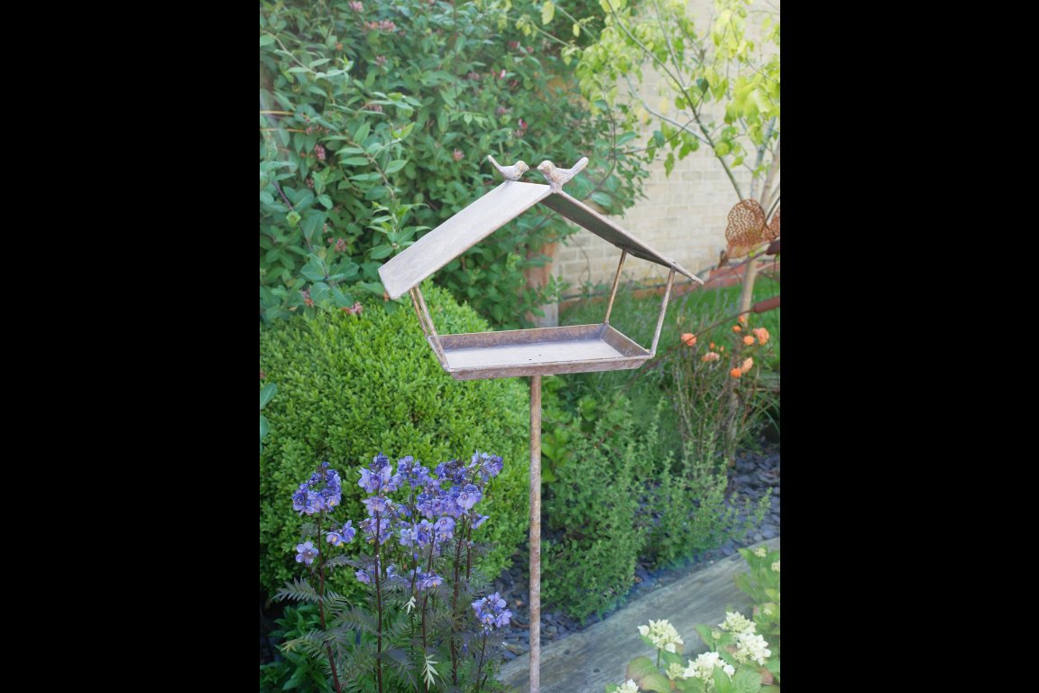 Bird Feeder