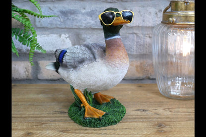 Duck In Shades