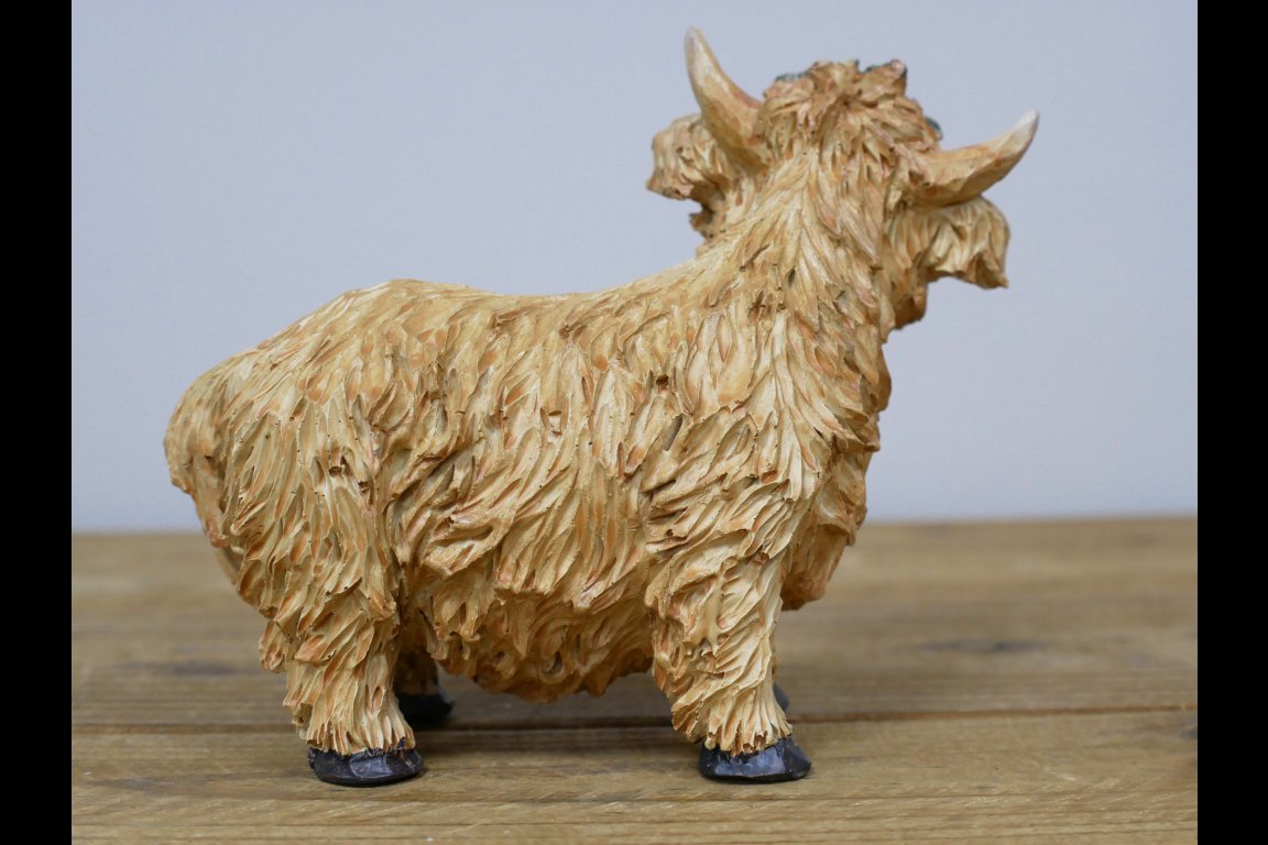Highland Cow With Flower Headband
