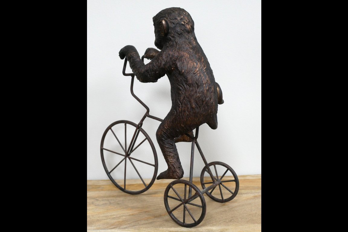 Monkey On Tricycle
