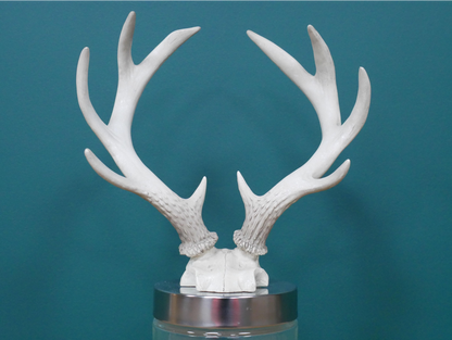 Antler Jar