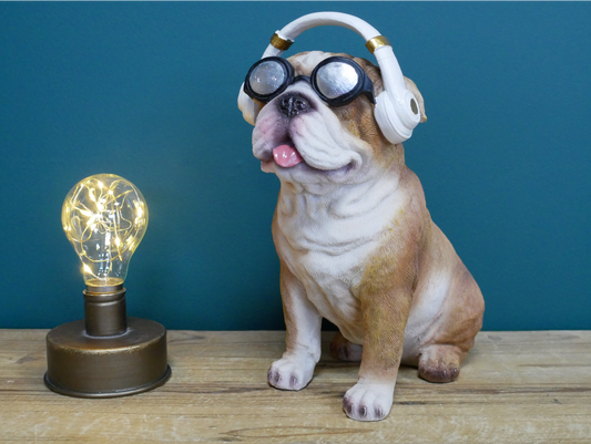 Dog With Headphones