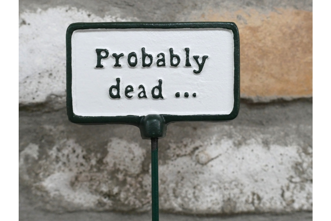 Plant Sign - Probably Dead
