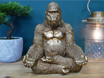 Yoga Gorilla