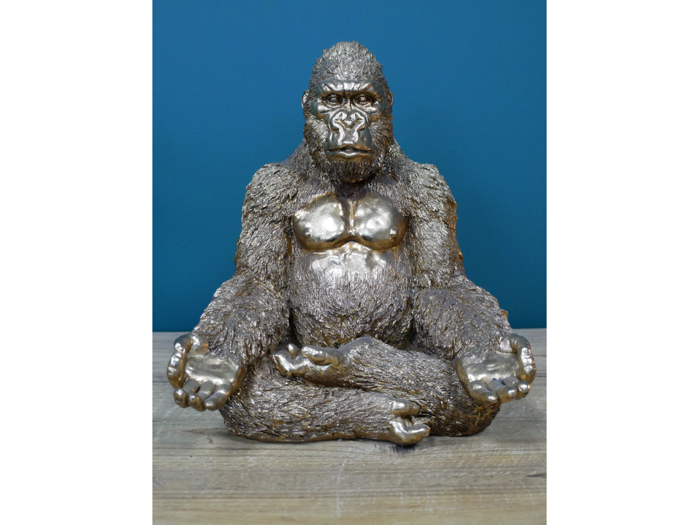 Yoga Gorilla