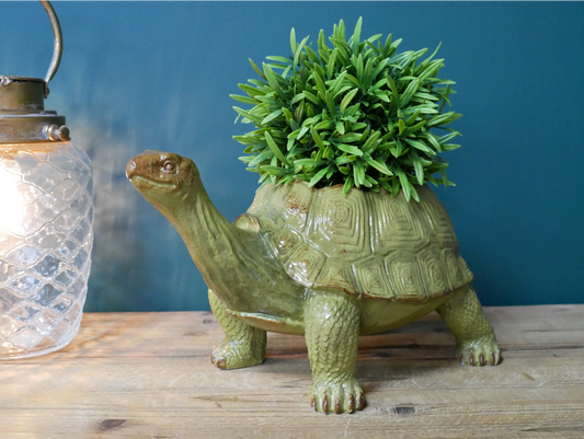 Tortoise Planter