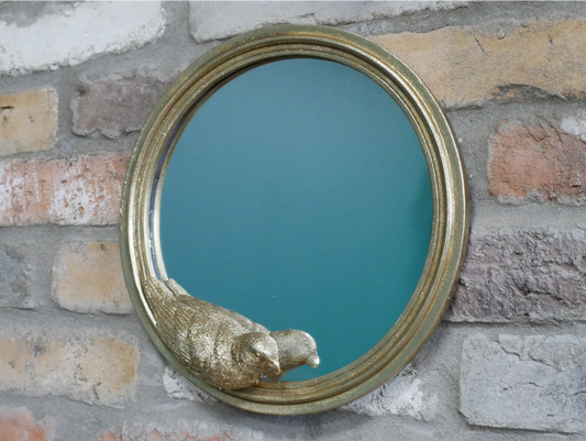 Parrot Mirror