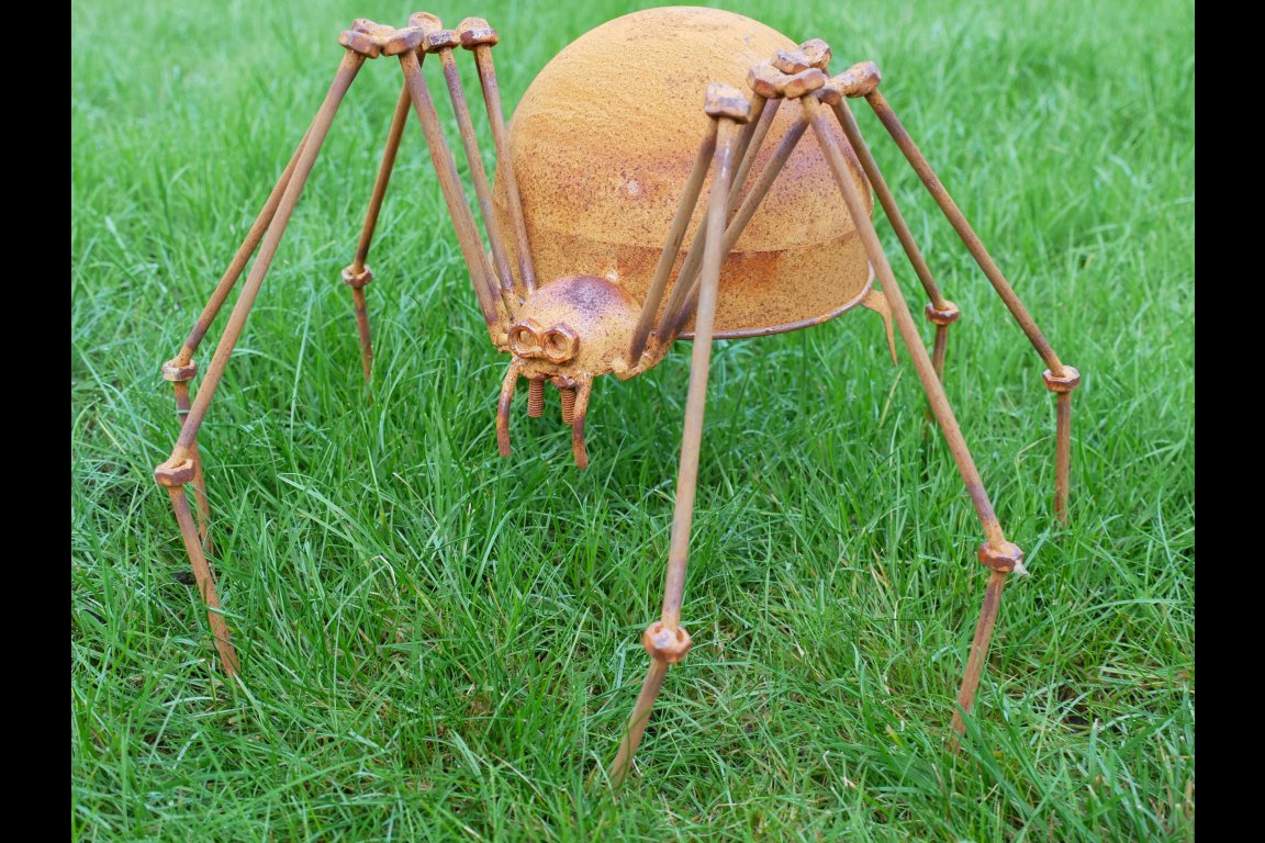 Rusty Spider