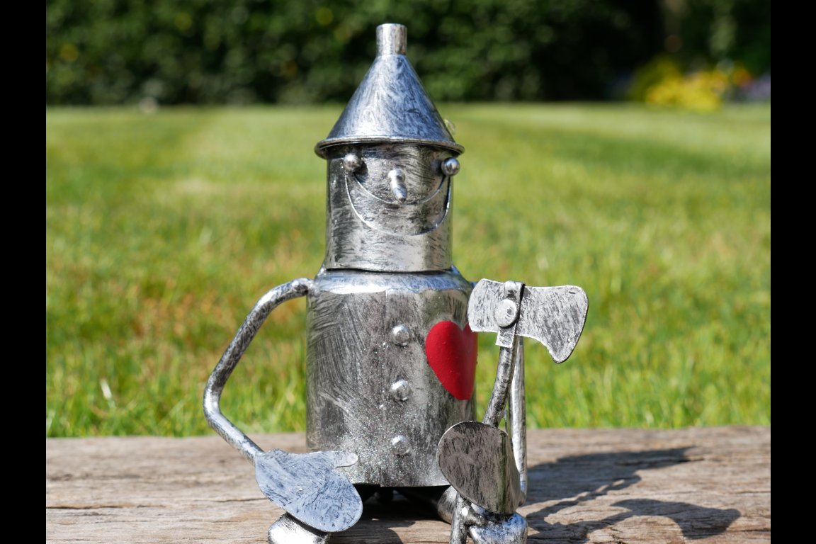Tin Man - Mini Sitting