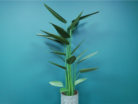 Artificial Canna