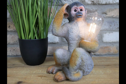 Monkey Light