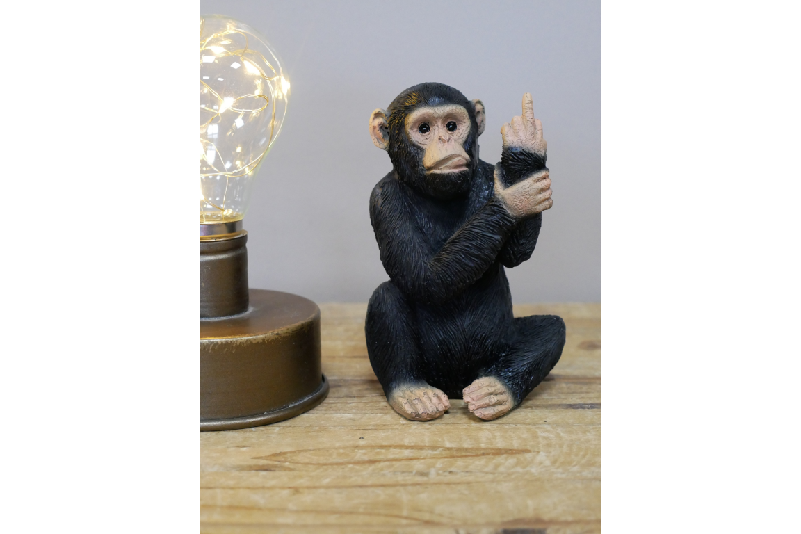 Up Yours Monkey - Small