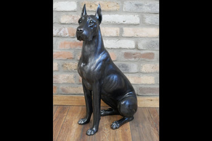 Sitting Great Dane