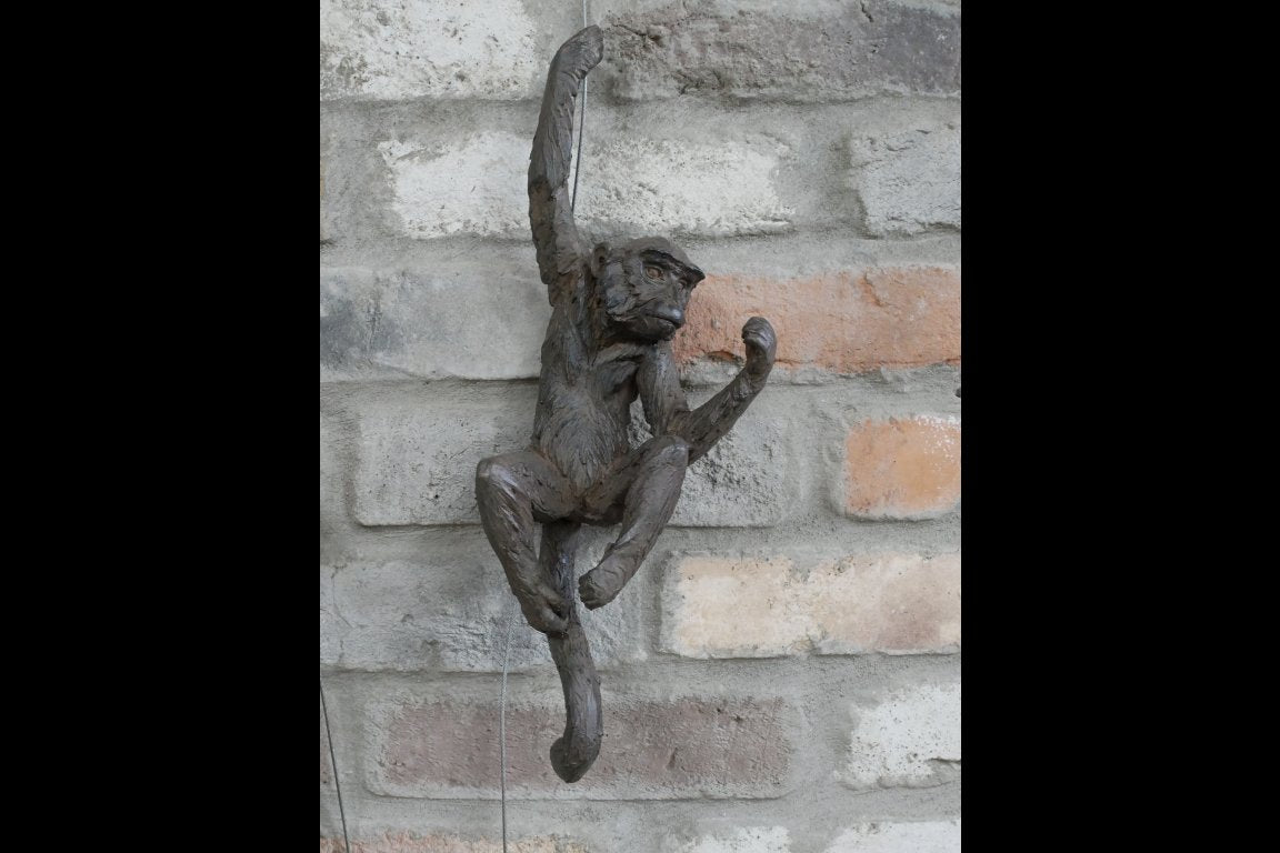 Hanging Monkeys