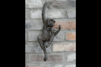 Hanging Monkeys