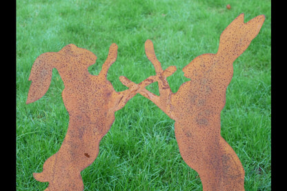 Rusty Fighting Hares Stake