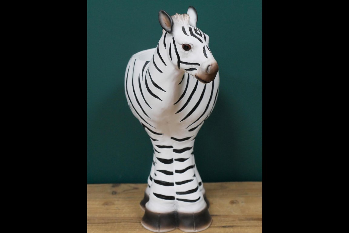Zebra Planter