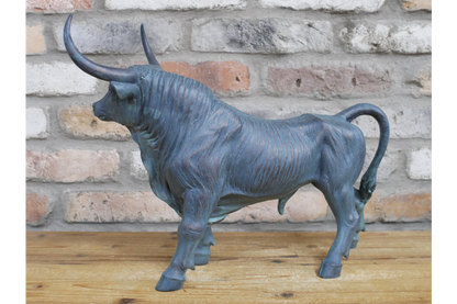 Bull