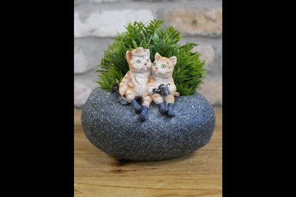 Small Cat Trough