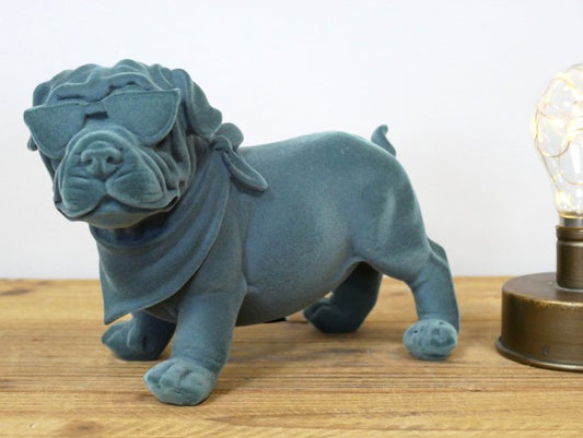 Blue Dog