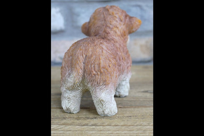 Tiny Baby Cow