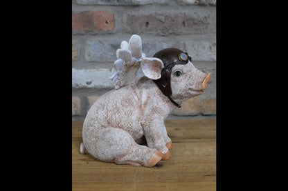 Flying Pig