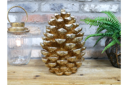 Giant Pinecone