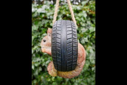 Squirrel In Tyre