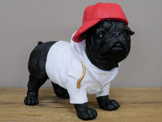 Dog With Cap