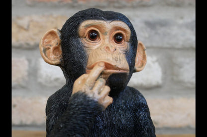 Finger In Mouth Monkey - Small