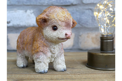 Tiny Baby Cow