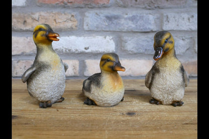 Set Of 3 Ducks
