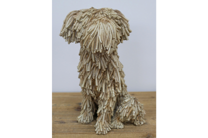 Sitting Shaggy Dog
